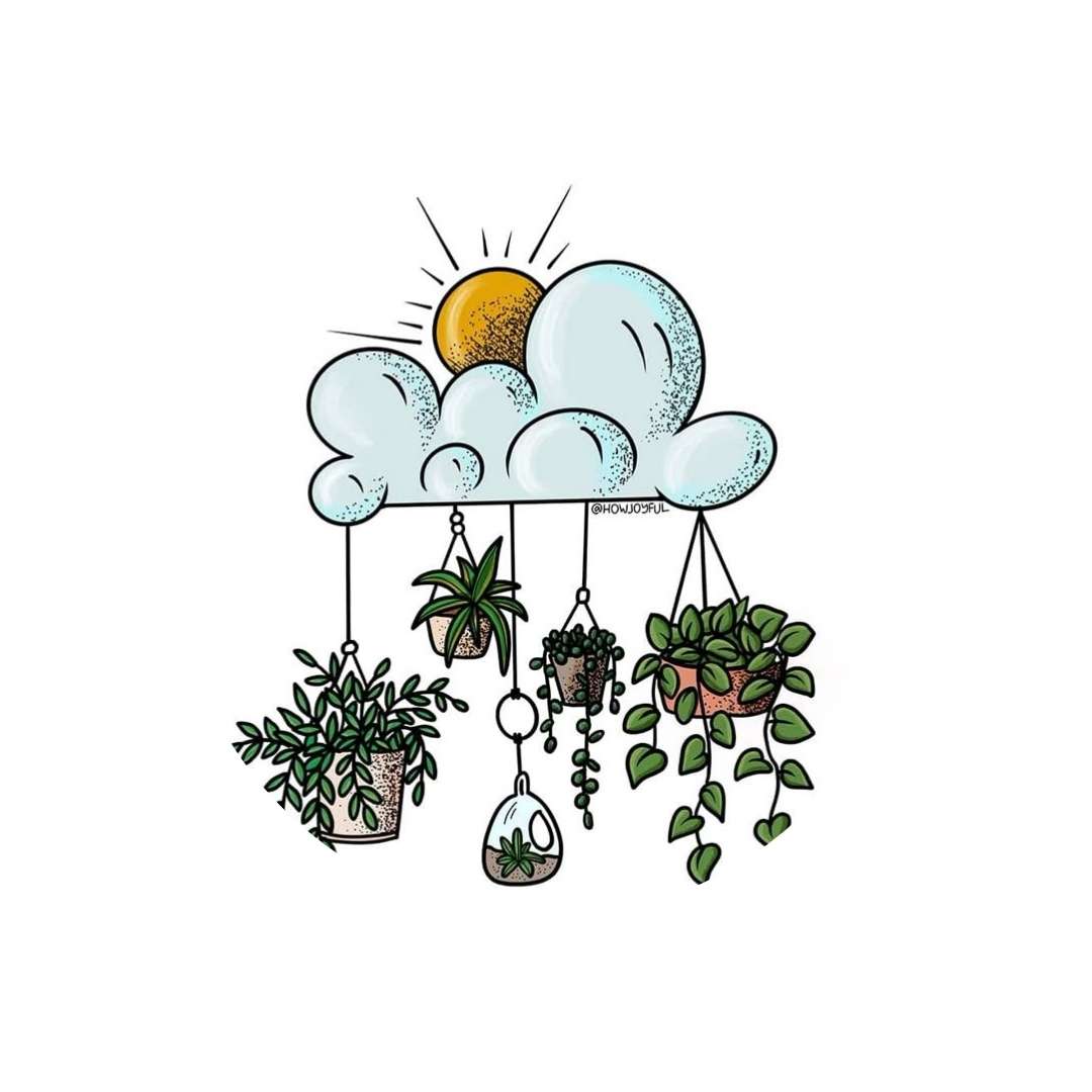 Plantas